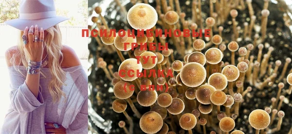 прущая мука Беломорск