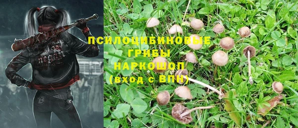 мдпв Белоозёрский